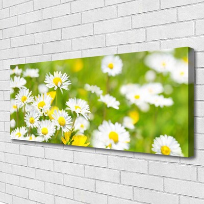 Canvas Wall art Daisy floral yellow white