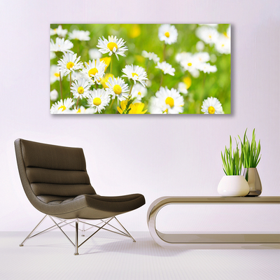 Canvas Wall art Daisy floral yellow white