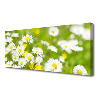 Canvas Wall art Daisy floral yellow white