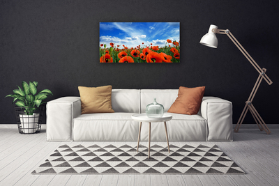 Canvas Wall art Meadow poppies floral green red