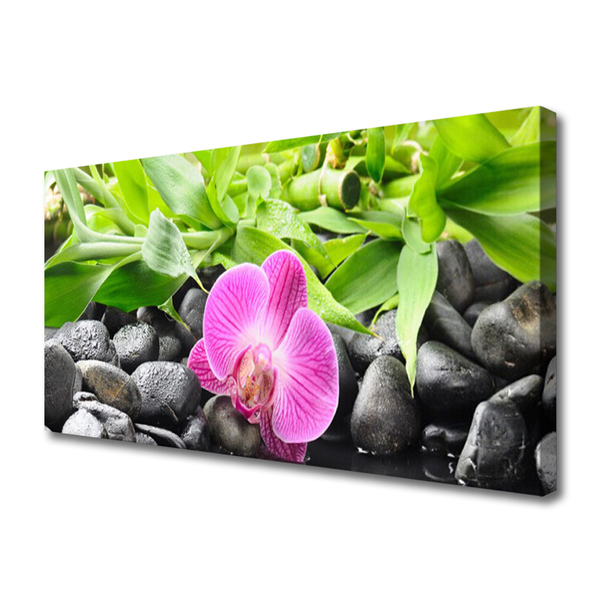 Canvas Wall art Flower leaves stones art pink green black