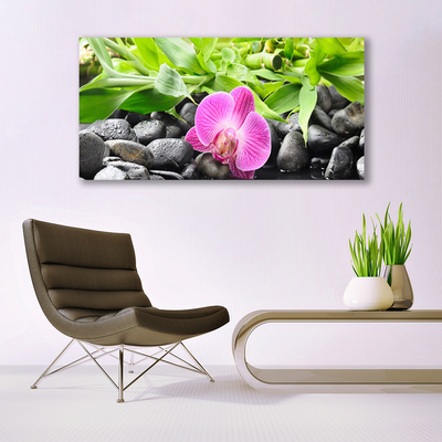 Canvas Wall art Flower leaves stones art pink green black