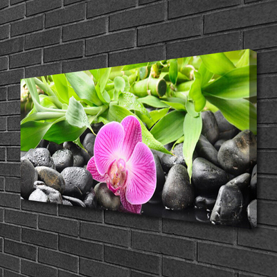 Canvas Wall art Flower leaves stones art pink green black