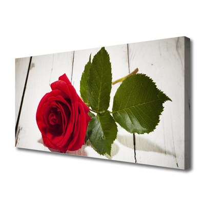 Canvas Wall art Rose floral red