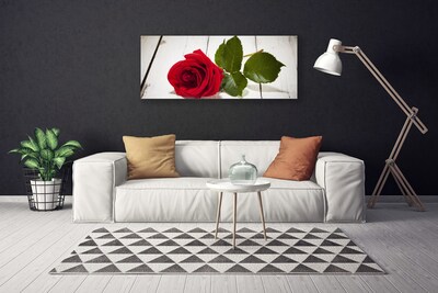 Canvas Wall art Rose floral red