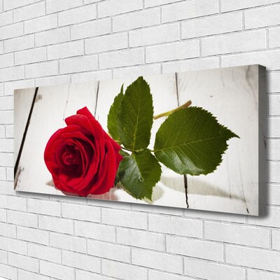 Canvas Wall art Rose floral red