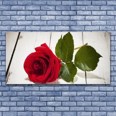 Canvas Wall art Rose floral red