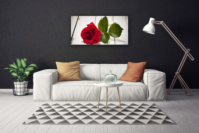 Canvas Wall art Rose floral red