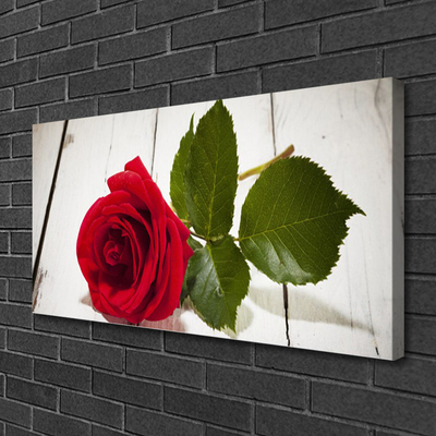 Canvas Wall art Rose floral red