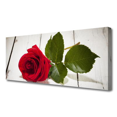 Canvas Wall art Rose floral red