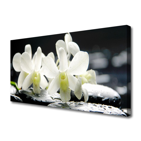 Canvas Wall art Flower stones floral white black