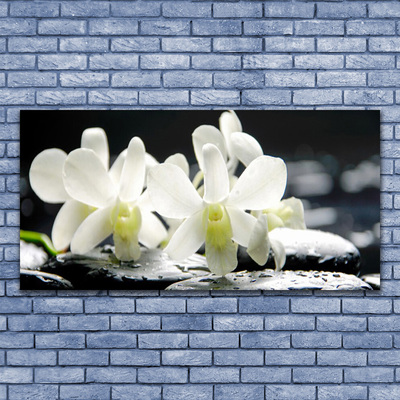 Canvas Wall art Flower stones floral white black