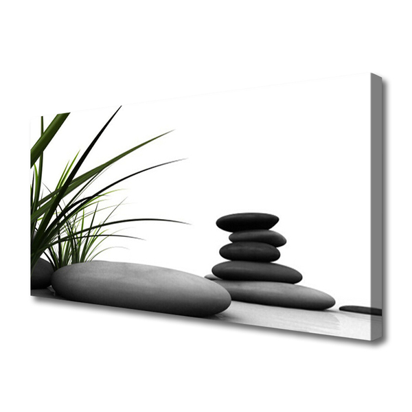 Canvas Wall art Grass stones art green grey