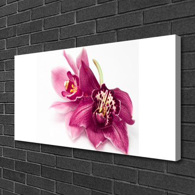 Canvas Wall art Flowers floral red