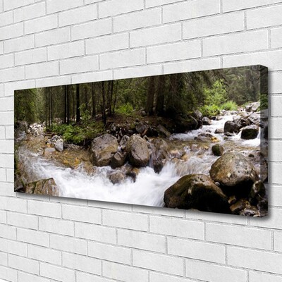 Canvas Wall art Forest brook stones nature brown green white grey