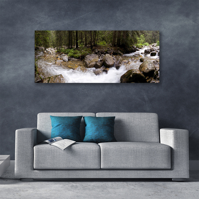 Canvas Wall art Forest brook stones nature brown green white grey