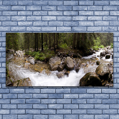 Canvas Wall art Forest brook stones nature brown green white grey