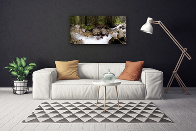 Canvas Wall art Forest brook stones nature brown green white grey