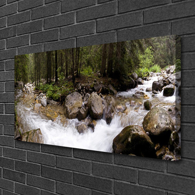 Canvas Wall art Forest brook stones nature brown green white grey