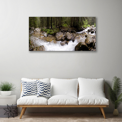 Canvas Wall art Forest brook stones nature brown green white grey