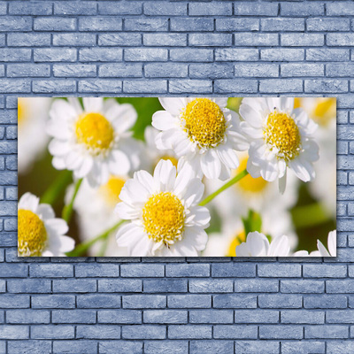 Canvas Wall art Daisy floral yellow white