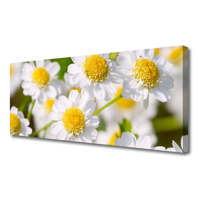 Canvas Wall art Daisy floral yellow white