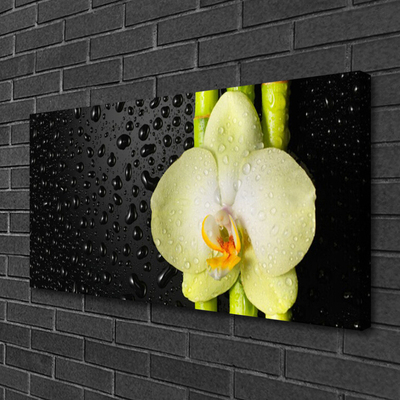 Canvas Wall art Bamboo tube flower floral green yellow