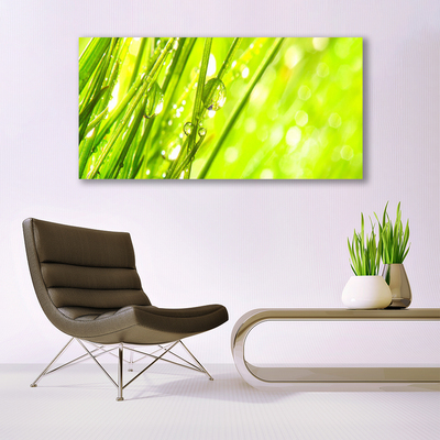 Canvas Wall art Weed nature green