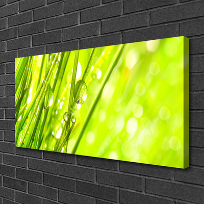 Canvas Wall art Weed nature green