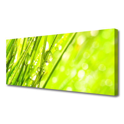 Canvas Wall art Weed nature green