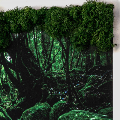 Green moss wall art River in the middle of a forest