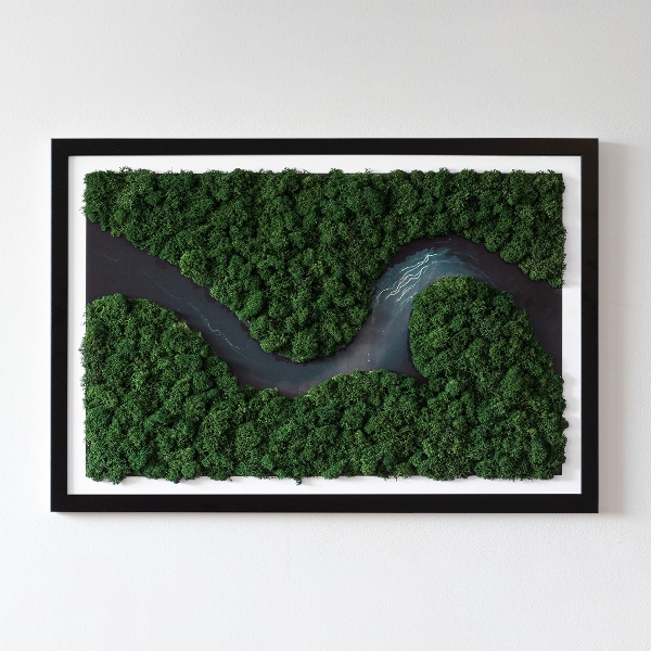 Moss art wall River in a wilderness