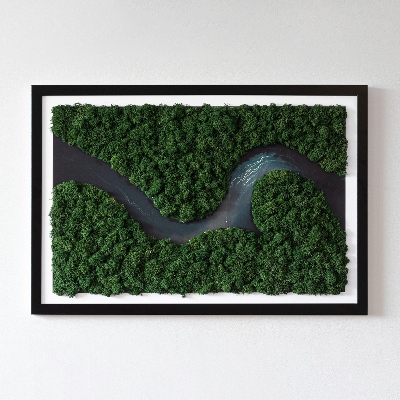 Moss art wall River in a wilderness