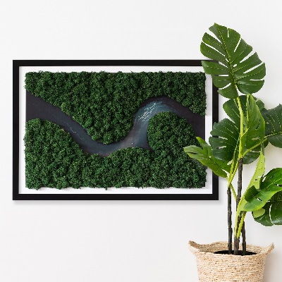 Moss art wall River in a wilderness