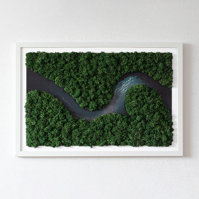 Moss art wall River in a wilderness