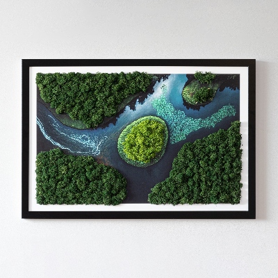 Green moss wall art Island in a backwater