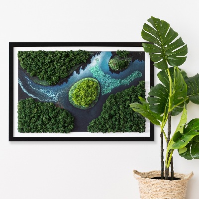 Green moss wall art Island in a backwater