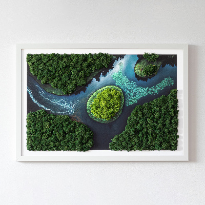 Green moss wall art Island in a backwater