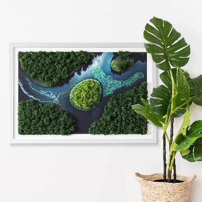 Green moss wall art Island in a backwater