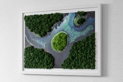 Green moss wall art Island in a backwater