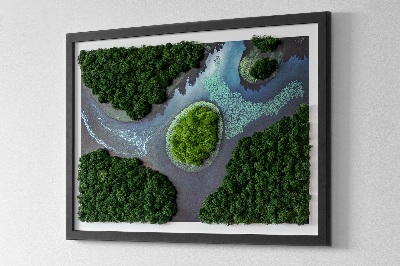Green moss wall art Island in a backwater