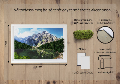 Wall moss art Tatra Mountains Morskie Oko