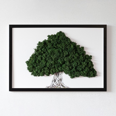 Wall moss art Tree with roots on a white background