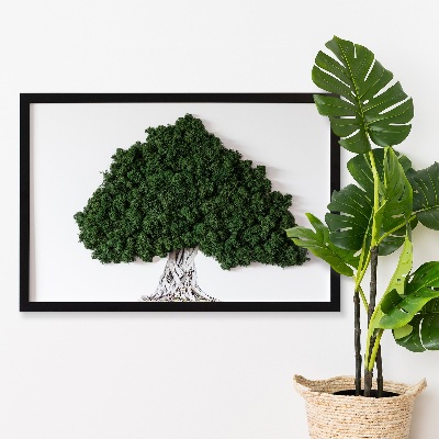 Wall moss art Tree with roots on a white background