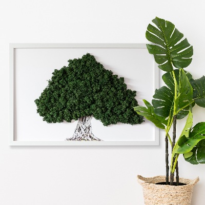 Wall moss art Tree with roots on a white background