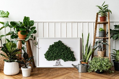 Wall moss art Tree with roots on a white background