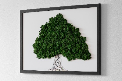 Wall moss art Tree with roots on a white background