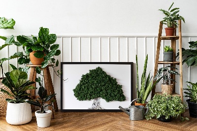 Wall moss art Tree with roots on a white background