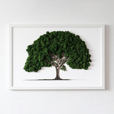 Framed moss wall art Tree on a white background