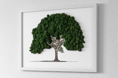 Framed moss wall art Tree on a white background